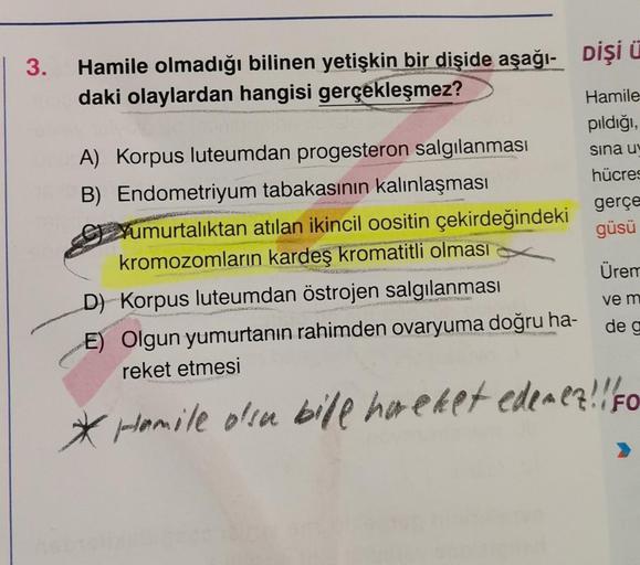 3.
Hamile olmadığı bilinen yetişkin bir dişide aşağı- DİŞİ Ü
daki olaylardan hangisi gerçekleşmez?
A) Korpus luteumdan progesteron salgılanması
B) Endometriyum tabakasının kalınlaşması
Yumurtalıktan atılan ikincil oositin çekirdeğindeki
kromozomların karde