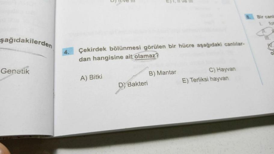 şağıdakilerden
Genetik
D) Ive III
A) Bitki
Çekirdek bölünmesi görülen bir hücre aşağıdaki canlılar-
dan hangisine ait olamaz?
E), Il ve Il
D) Bakteri
B) Mantar
C) Hayvan
E) Terliksi hayvan
Bir canl
1.
fot