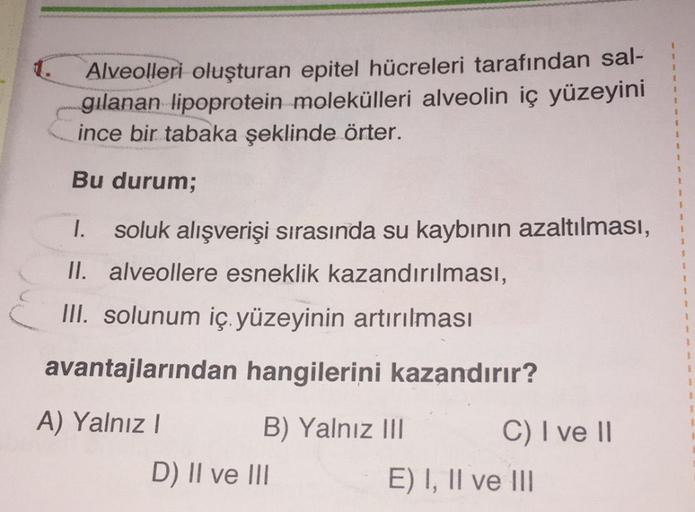 Alveolleri oluşturan epitel hücreleri tarafından sal-
gilanan lipoprotein molekülleri alveolin iç yüzeyini
ince bir tabaka şeklinde örter.
Bu durum;
1. soluk alışverişi sırasında su kaybının azaltılması,
II. alveollere esneklik kazandırılması,
III. solunum