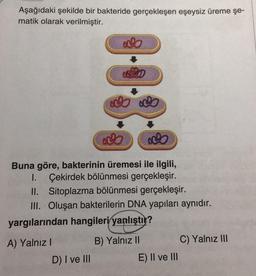 Aşağıdaki şekilde bir bakteride gerçekleşen eşeysiz üreme şe-
matik olarak verilmiştir.
OSD
do
Buna göre, bakterinin üremesi ile ilgili,
1. Çekirdek bölünmesi gerçekleşir.
II. Sitoplazma bölünmesi gerçekleşir.
III. Oluşan bakterilerin DNA yapıları aynıdır.
D) I ve III
yargılarından hangileri yanlıştır?
A) Yalnız I
B) Yalnız II
E) II ve III
C) Yalnız III