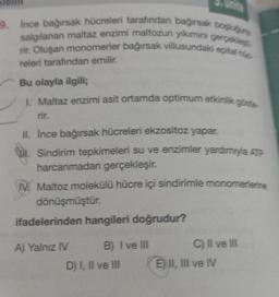 9. Ince bağırsak hücreleri tarafından bağırsak boşluğuna
salgılanan maltaz enzimi maltozun yıkımını gerçekleşt
rir. Oluşan monomerler bağırsak villusundaki epitel hüc
releri tarafından emilir.
Bu olayla ilgili;
1. Maltaz enzimi asit ortamda optimum etkinlik göste
rir.
II. İnce bağırsak hücreleri ekzositoz yapar.
. Sindirim tepkimeleri su ve enzimler yardımıyla ATP
harcanmadan gerçekleşir.
M. Maltoz molekülü hücre içi sindirimle monomerlerine
dönüşmüştür.
ifadelerinden hangileri doğrudur?
B) I ve III
3. white
A) Yalnız IV
D) I, II ve III
C) II ve III
E II, III ve IV