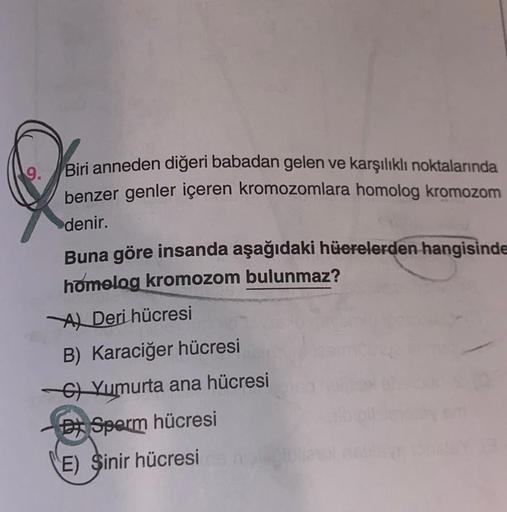 9.
Biri anneden diğeri babadan gelen ve karşılıklı noktalarında
benzer genler içeren kromozomlara homolog kromozom
denir.
Buna göre insanda aşağıdaki hüerelerden hangisinde
homelog kromozom bulunmaz?
A Deri hücresi
B) Karaciğer hücresi
C)Yumurta ana hücres