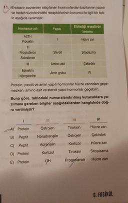 11. Endokrin bezlerden salgılanan hormonlardan bazılarının yapısı
ve hedef hücrelerindeki reseptörlerinin konumu ile ilgili bir tab-
lo aşağıda verilmiştir.
Hormonun adı
ACTH
Prolaktin
||
Progesteron
Aldosteron
|||
Epinefrin
Nörepinefrin
Yapısı
Steroit
Protein
B) Peptit
C) Peptit
D) Protein
E) Protein
Amino asit
Amin grubu
Etkilediği reseptörün
||
Östrojen
Nöradrenalín
Adrenalin
Kortizol
GH
konumu
Hücre zarı
|||
Sitoplazma
Protein, peptit ve amin yapılı hormonlar hücre zarından geçe-
mezken, amino asit ve steroit yapılı hormonlar geçebilir.
Çekirdek
Buna göre, tablodaki numaralandırılmış kutucuklara ya-
zılması gereken bilgiler aşağıdakilerden hangisinde doğ-
ru verilmiştir?
IV
IV
Hücre zarı
Tiroksin
Östrojen
Kortizol
Tiroksin Sitoplazma
Progesteron
Çekirdek
Hücre zarı
Hücre zarı
6. FASİKÜL