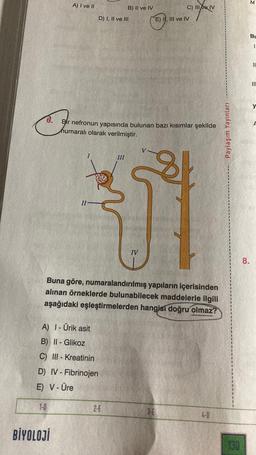 J
6.
A) I ve II
1-0
BİYOLOJİ
II
D) I, II ve III
A) 1 - Ürik asit
B) II -Glikoz
C) III-Kreatinin
D) IV - Fibrinojen
E) V-Üre
B) II ve IV
Bir nefronun yapısında bulunan bazı kısımlar şekilde
humaralı olarak verilmiştir.
III
Buna göre, numaralandırılmış yapıların içerisinden
alınan örneklerde bulunabilecek maddelerle ilgili
aşağıdaki eşleştirmelerden hangisi doğru olmaz?
2-E
C) III e IV
E) I, III ve IV
3-E
4-0
Paylaşım Yayınları
130
8.
M
Bu
1.
||
III