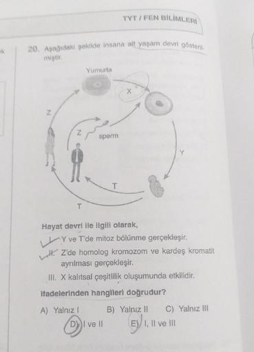 A
20. Aşağıdaki şekilde insana ait yaşam devri gösteril-
miştir.
T
Yumurta
sperm
A) Yalnız I
TYT/FEN BİLİMLERİ
T
Hayat devri ile ilgili olarak,
X
Y ve T'de mitoz bölünme gerçekleşir.
D) I ve II
L
H. Z'de homolog kromozom ve kardeş kromatit
ayrılması gerçek