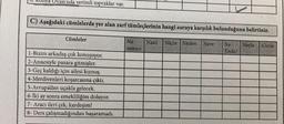 LU. Kunya Uvası'nda verimli topraklar var.
C) Aşağıdaki cümlelerde yer alan zarf tümleçlerinin hangi soruya karşılık bulunduğunu belirtiniz.
Nasıl Niçin Neden Nere Ne Neyle Kimle
Kadar
Cümleler
1-Bizim arkadaş çok konuşuyor.
2-Annesiyle pazara gitmişler.
3-Geç kaldığı için ailesi kızmış.
4-Merdivenleri koşarcasına çıktı.
5-Avrupa'dan uçakla gelecek.
6-İki ay sonra emekliliğim doluyor.
7- Aracı ileri çek, kardeşim!
8- Ders çalışmadığından başaramadı.
Ne
zaman