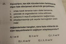 ALFA
23.
Alyuvarların, kan kök hücrelerinden farklılaşarak
olgun hale dönüşmesi sürecinde gerçekleşen;
1. ortası basık kenarları kalın diske benzeme,
II. çekirdek ve organellerinin imha edilmesi,
III. zarlarına A veya B antijenlerinin bağlanması,
IV. sitoplazmasında çok sayıda hemoglobin üretil-
mesi
değişimlerinden hangileri, daha fazla miktarda ok-
sijen taşıyabilmelerini sağlayan adaptasyondur?
A) I ve III
B) Il ve IV
D) I, III ve IV
C) I, II ve IV
E) I, II, III ve IV