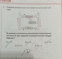 SISTEM
3. Aşağıdaki şemada insanın kan dolaşımına ait bir kesit veril-
miştir.
IV
D) III < IV
Karaciğer
Bağırsak
Böbrek
Bu şemada numaralanmış damarlardaki kanda bulunan
üre oranı ile ilgili aşağıdaki karşılaştırmalardan hangisi
doğrudur?
A) I II
B) I< III
XD
E) IV < II
CHI<III