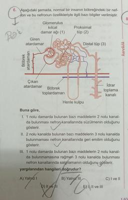 6. Aşağıdaki şemada, normal bir insanın böbreğindeki bir nef-
ron ve bu nefronun özellikleriyle ilgili bazı bilgiler verilmiştir.
Ros
Glomerulus
kılcal
damar ağı (1)
Giren
atardamar
Böbrek
atardamarı
Çıkan
atardamar
Böbrek
toplardamarı
Proksimal
tüp (2)
b) II ve I
Distal tüp (3)
Henle kulpu
Buna göre,
I. 1 nolu damarda bulunan bazı maddelerin 2 nolu kanal-
da bulunması nefron kanallarında süzülmenin olduğunu
gösterir.
II. 2 nolu kanalda bulunan bazı maddelerin 3 nolu kanalda
bulunmaması nefron kanallarında geri emilim olduğunu
gösterir.
III. 1 nolu damarda bulunan bazı maddelerin 2 nolu kanal-
da bulunmamasına rağmen 3 nolu kanalda bulunması
nefron kanallarında salgılamanın olduğunu gösterir.
yargılarından hangileri doğrudur?
A) Yalnız I
B) Yalnız III
v
İdrar
toplama
kanalı
E) I II ve III
C) I ve II
karekök
8
140