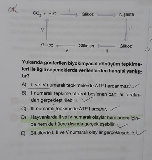 Le
CO, + H,O
V
Glikoz
IV
Glikoz
Glikojen
Nişasta
Glikoz
Yukarıda gösterilen biyokimyasal dönüşüm tepkime-
leri ile ilgili seçeneklerde verilenlerden hangisi yanlış-
tır?
A) II ve IV numaralı tepkimelerde ATP harcanmaz.
B) I numaralı tepkime ototrof beslene