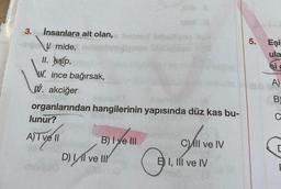 3.
İnsanlara ait olan, losinad Intrali
mide,
II. kalp,
uf. ince bağırsak,
W. akciğer
mono10
xilamoo
organlarından hangilerinin yapısında düz kas bu-
lunur?
A)T ve Il
B) I e III
D) II ve III
alltemo2
G
CIl ve IV
E I, III ve IV
5.
Eşi
ula
si c
A)
B)
C
C