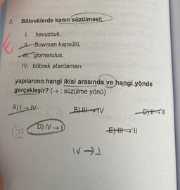 2. Böbreklerde kanın süzülmesi;
k
1. havuzcuk,
Bowman kapsülü,
H. glomerulus,
IV. böbrek atardamarı
yapılarının hangi ikisi arasında ve hangi yönde
gerçekleşir? (→: süzülme yönü)
A) I IV
D) IV →
B) IV
WV-L
-C|||||
E) HII