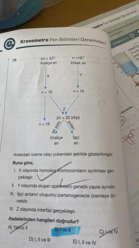 Ⓡ
19.
Kronometre Fen Bilimleri Denemeleri
2n = 329
Kraliçe arı
X
n = 16
n=16
N
arı sütü
D) I, II ve III
Kraliçe
ari
2n = 32 (dişi)
n = 168
Erkek arı
polen
n = 16
metre Fen Bilimleri Denemeleri
İşçi
arı
DISSA
nathov
oloji (15-201 alanlarına ait toplam 20 se