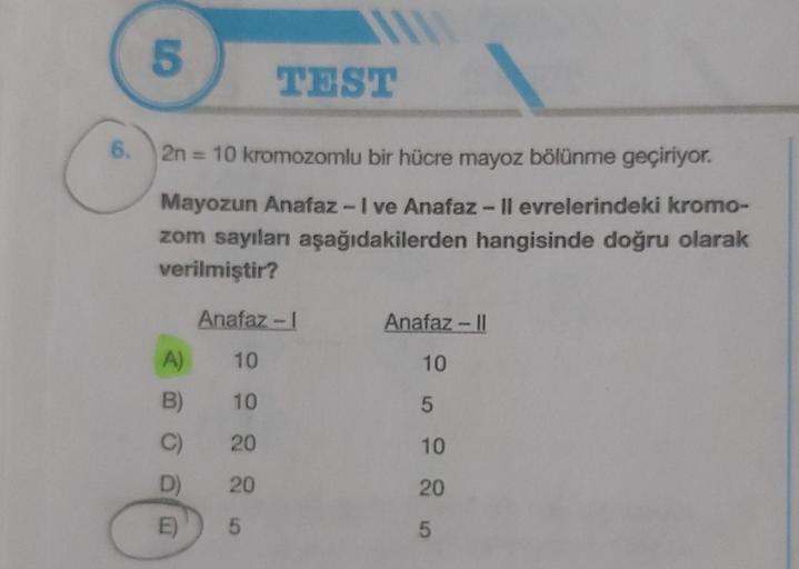 6.
O
5
TEST
2n = 10 kromozomlu bir hücre mayoz bölünme geçiriyor.
Mayozun Anafaz-I ve Anafaz - II evrelerindeki kromo-
zom sayıları aşağıdakilerden hangisinde doğru olarak
verilmiştir?
A)
B)
C)
D)
E)
Anafaz-I
10
10
20
20
5
Anafaz-II
10
5
10
20
5