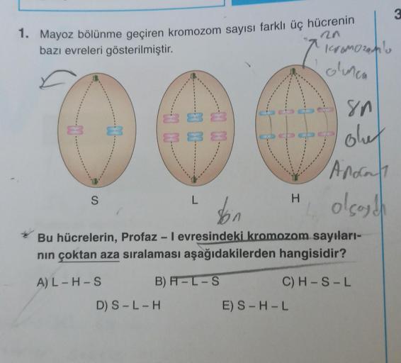 1. Mayoz bölünme geçiren kromozom sayısı farklı üç hücrenin
20
bazı evreleri gösterilmiştir.
00-
S
83
83 83
D) S-L-H
L
H
E) S-H-L
kromozamlu
olunca
80
ohut
don
Bu hücrelerin, Profaz - I evresindeki kromozom sayıları-
nın çoktan aza sıralaması aşağıdakilerd