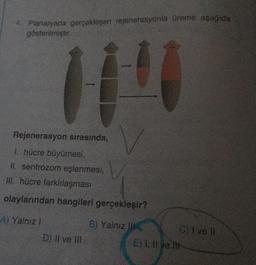 Planaryada gerçekleşen rejenerasyonla üreme aşağıda
gösterilmiştir.
11
Rejenerasyon sırasında,
1. hücre büyümesi,
II. sentrozom eşlenmesi,
III. hücre farklılaşması
olaylarından hangileri gerçekleşir?
B) Yalnız
A) Yalnız 1
D) II ve III
C) I ve Il
E) I, II ve lit