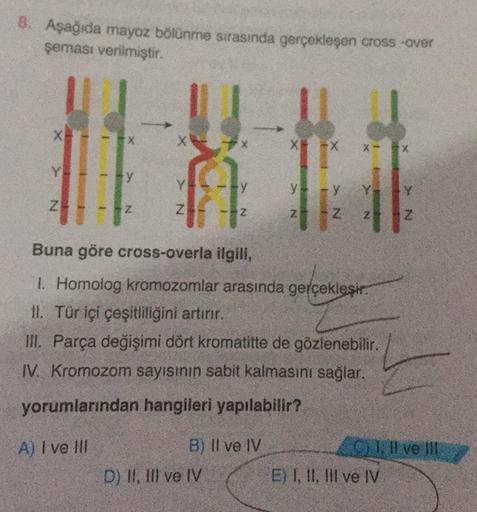 8. Aşağıda mayoz bölünme sırasında gerçekleşen cross-over
şeması verilmiştir.
Bat
B) II ve IV
H
X -X X-
D) II, III ve IV
y - y
Buna göre cross-overla ilgili,
1. Homolog kromozomlar arasında gerçekleşir.
II. Tür içi çeşitliliğini artırır.
III. Parça değişim