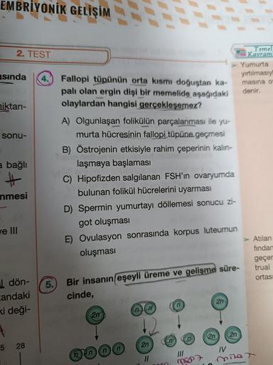 EMBRİYONİK GELİŞİM
2. TEST
asında
miktarı-
sonu-
a bağlı
#
nmesi
ve III
dön-
candaki
xi deği-
5
28
Fallopi tüpünün orta kısmı doğuştan ka-
palı olan ergin dişi bir memelide aşağıdaki
olaylardan hangisi gerçekleşemez?
A) Olgunlaşan folikülün parçalanması il