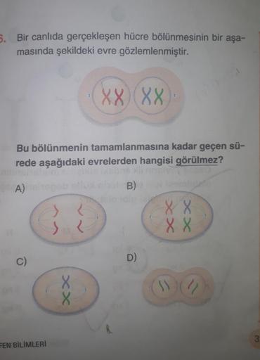 5.
Bir canlıda gerçekleşen hücre bölünmesinin bir aşa-
masında şekildeki evre gözlemlenmiştir.
XX) XX
Bu bölünmenin tamamlanmasına kadar geçen sü-
rede aşağıdaki evrelerden hangisi görülmez?
A) el
C)
}}
FEN BİLİMLERİ
XX
B)
D)
FY
88
88
XX
XX
1(2
3: