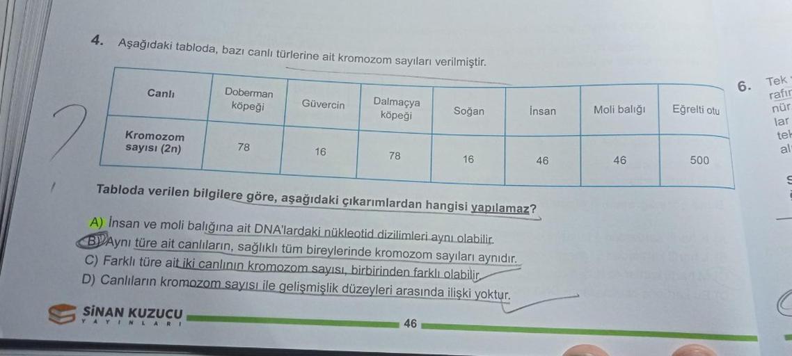 4. Aşağıdaki tabloda, bazı canlı türlerine ait kromozom sayıları verilmiştir.
Canlı
Kromozom
sayısı (2n)
SINAN KUZUCU
Doberman
köpeği
YAYINLARI
78
Güvercin
16
Dalmaçya
köpeği
78
Soğan
Tabloda verilen bilgilere göre, aşağıdaki çıkarımlardan hangisi yapılama