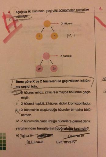 4.
Aşağıda iki hücrenin geçirdiği bölünmeler şematize
edilmiştir.
2n
nemez.
n
2n
D) I. Il ve I
X hücresi
Mi
Buna göre X ve Z hücreleri ile geçirdikleri bölün-
me çeşidi için,
TX hücresi mitoz, Z hücresi mayoz bölünme geçir-
miştir.
II. X hücresi haploit, Z