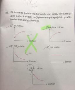 36. Bir insanda kalbin sağ karıncığından çıkıp, sol kulakçı-
ğına gelen kandaki değişimlerle ilgili aşağıdaki grafik-
lerden hangisi çizilemez?
A) O miktarı
p
CO₂ miktarı
Zaman
Zaman
E) Su miktarı
B) Alyuvar miktarı
D) Üre miktarı
Zaman
Zaman
Zaman