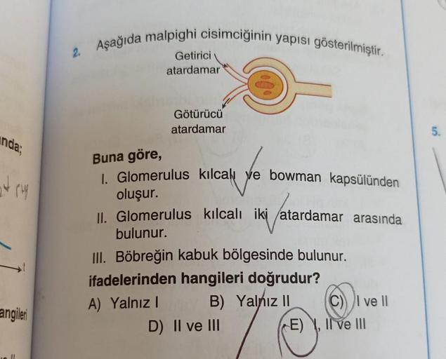 nda;
at pup
angileri
2. Aşağıda malpighi cisimciğinin yapısı gösterilmiştir.
Getirici
atardamar
Götürücü
atardamar
Buna göre,
1. Glomerulus kılcalı ve bowman kapsülünden
oluşur.
II. Glomerulus kılcalı iki atardamar arasında
iki /at
bulunur.
III. Böbreğin k