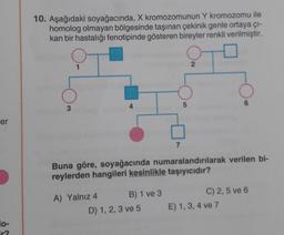 er
lo-
ir?
10. Aşağıdaki soyağacında, X kromozomunun Y kromozomu ile
homolog olmayan bölgesinde taşınan çekinik genle ortaya çı-
kan bir hastalığı fenotipinde gösteren bireyler renkli verilmiştir.
3
4
A) Yalnız 4
Buna göre, soyağacında numaralandırılarak verilen bi-
reylerden hangileri kesinlikle taşıyıcıdır?
B) 1 ve 3
7
D) 1, 2, 3 ve 5
6
C) 2,5 ve 6
E) 1, 3, 4 ve 7