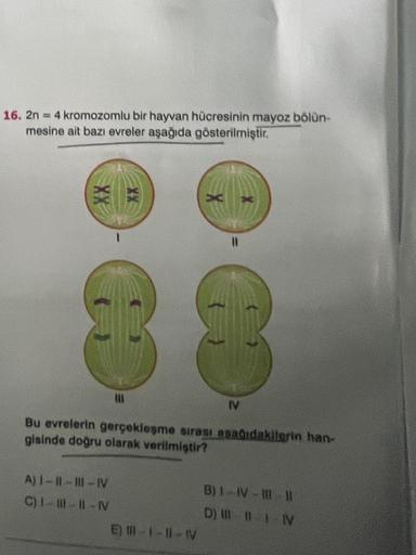 16. 2n = 4 kromozomlu bir hayvan hücresinin mayoz bölün-
mesine ait bazı evreler aşağıda gösterilmiştir.
XX
C1
03
Bu evrelerin
gisinde doğru olarak verilmiştir?
11
A) I-II-III-IV
C) I-111-11-N
gerçekleşme sırası aşağıdakilerin han-
E) 11-1-11-IV
INV
B) 1-I