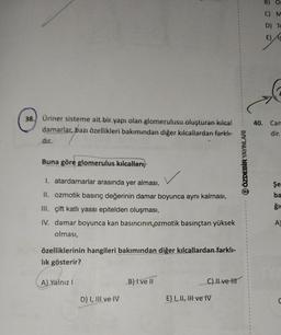 38. Üriner sisteme ait bir yapı olan glomerulusu oluşturan kılcal
damarlar, bazı özellikleri bakımından diğer kılcallardan farklı-
dir...
Buna göre glomerulus kılcalları,
I. atardamarlar arasında yer alması,
II. ozmotik basınç değerinin damar boyunca aynı kalması,
III. çift katlı yassı epitelden oluşması,
IV. damar boyunca kan basıncının ozmotik basınçtan yüksek
olması,
özelliklerinin hangileri bakımından diğer kılcallardan farklı-
lık gösterir?
A) Yalnız I
D) I, III ve IV
B) I ve II
C) II ve tit
E) I, II, III ve IV
ÖZDEBİR YAYINLARI
B) O
C) M
D) To
E) s
40. Can
dir.
Şe
ba
A)