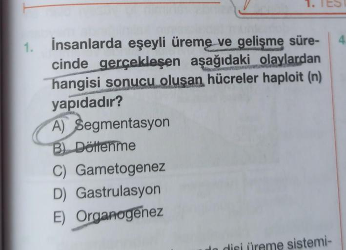 1.
İnsanlarda eşeyli üreme ve gelişme süre-
cinde gerçekleşen aşağıdaki olaylardan
hangisi sonucu oluşan hücreler haploit (n)
yapıdadır?
A) Segmentasyon
B) Döttenme
1. TES
C) Gametogenez
D) Gastrulasyon
E) Organogenez
do disi üreme sistemi-
4