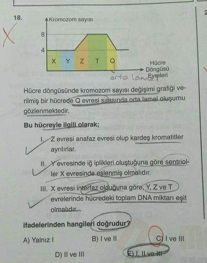 18.
X
A Kromozom sayısı
8
4
X Y Z T
Hücre
Döngüsü
orta lan Evreleri
Hücre döngüsünde kromozom sayısı değişimi grafiği ve-
rilmiş bir hücrede Q evresi sırasında orta lamel oluşumu
gözlenmektedir.
Bu hücreyle ilgili olarak;
I. Z evresi anafaz evresi olup kar