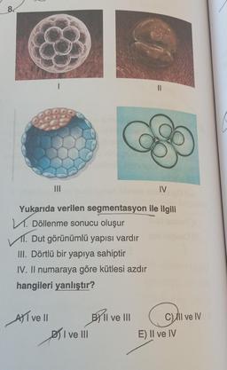 8.
sm
I
Dut görünümlü yapısı vardır
Yukarıda verilen segmentasyon ile ilgili
M. Döllenme sonucu oluşur
III. Dörtlü bir yapıya sahiptir
IV. Il numaraya göre kütlesi azdır
hangileri yanlıştır?
AT ve Il
pri
I ve III
11
Il ve III
IV
C) Il ve IV
E) II ve IV