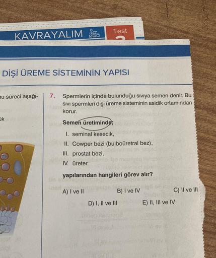 KAVRAYALIM
ik
PRO
DİŞİ ÜREME SİSTEMİNİN YAPISI
Test
nu süreci aşağı- 7. Spermlerin içinde bulunduğu sıvıya semen denir. Bu
SIVI Spermleri dişi üreme sisteminin asidik ortamından
korur.
Semen üretiminde;
1. seminal kesecik,
II. Cowper bezi (bulboüretral bez