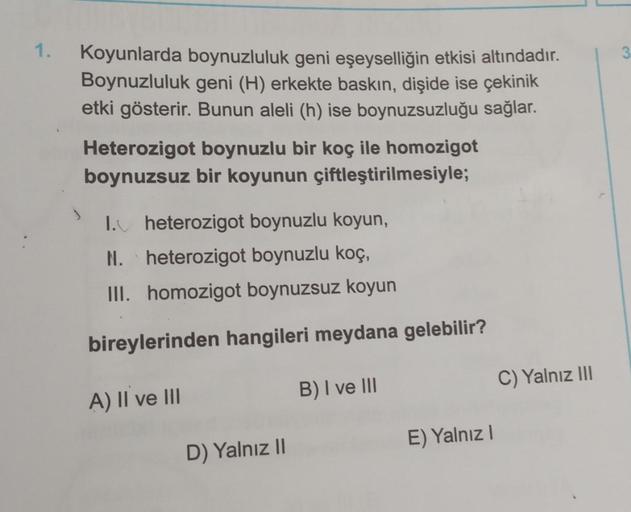 1.
Koyunlarda boynuzluluk geni eşeyselliğin etkisi altındadır.
Boynuzluluk geni (H) erkekte baskın, dişide ise çekinik
etki gösterir. Bunun aleli (h) ise boynuzsuzluğu sağlar.
Heterozigot boynuzlu bir koç ile homozigot
boynuzsuz bir koyunun çiftleştirilmes