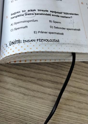 E)
Sağlıklı bir erkek bireyde aşağıdaki hücrelerden
hangisine uretra kanalındaki sıvıda rastlanır?
A) Spermatogonium
C) Spermatit
3.
B) Sperm
D) Sekonder spermatosit
E) Primer spermatosit
ÜNİTE: INSAN FİZYOLOJİSİ
1.