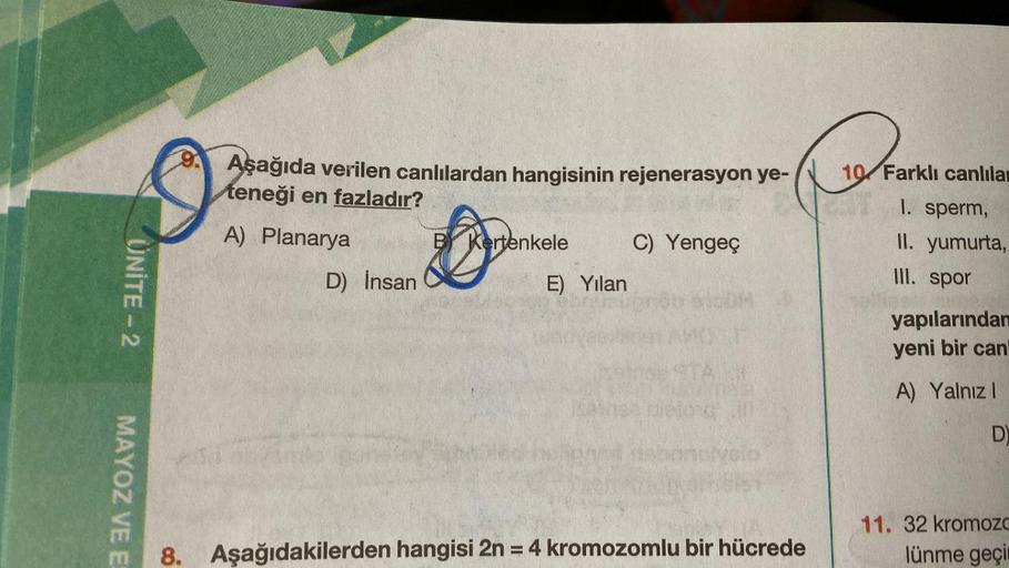 ÜNİTE - 2
MAYOZ VE E
9. Aşağıda verilen canlılardan hangisinin rejenerasyon ye-
teneği en fazladır?
A) Planarya
D) İnsan
D
B Kertenkele
E) Yılan
C) Yengeç
8. Aşağıdakilerden hangisi 2n = 4 kromozomlu bir hücrede
Fark
10 Farklı canlılar
1. sperm,
II. yumurt