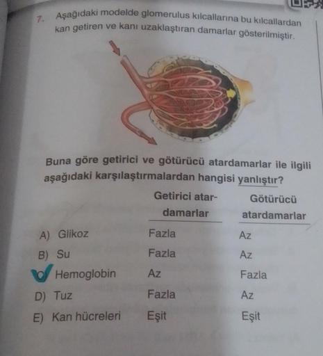 7.
Aşağıdaki modelde glomerulus kılcallarına bu kılcallardan
kan getiren ve kanı uzaklaştıran damarlar gösterilmiştir.
Buna göre getirici ve götürücü atardamarlar ile ilgili
aşağıdaki karşılaştırmalardan hangisi yanlıştır?
Getirici atar-
damarlar
A) Glikoz