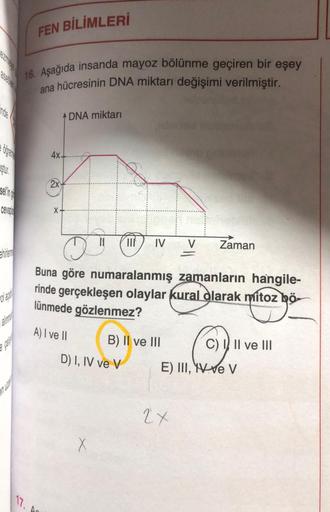 inde
Öfgen
Stur
cevap
ehirlen
olaca
e pa
FEN BİLİMLERİ
16. Aşağıda insanda mayoz bölünme geçiren bir eşey
ana hücresinin DNA miktarı değişimi verilmiştir.
17.
4x.
2x
X
DNA miktarı
THE
Buna göre numaralanmış zamanların hangile-
rinde gerçekleşen olaylar kur