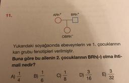 11.
A)
4
Yukarıdaki soyağacında ebeveynlerin ve 1. çocuklarının
kan grubu fenotipleri verilmiştir.
Buna göre bu ailenin 2. çocuklarının BRh(-) olma ihti-
mali nedir?
B)
—
6
ARh+
OT
BRh+
C)
OBRh
1
8
D)
3
16
E)
3
32