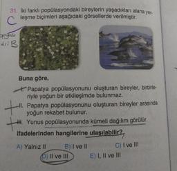 yer-
31. İki farklı
popülasyondaki bireylerin yaşadıkları alana
leşme biçimleri aşağıdaki görsellerde verilmiştir.
C
opyası
dri B
Buna göre,
Papatya popülasyonunu oluşturan bireyler, birbirle-
riyle yoğun bir etkileşimde bulunmaz.
+
-Il. Papatya popülasyonunu oluşturan bireyler arasında
yoğun rekabet bulunur.
H. Yunus popülasyonunda kümeli dağılım görülür.
ifadelerinden hangilerine ulaşılabilir?
A) Yalnız II
B) I ve II
D) II ve III
C) I ve III
E) I, II ve III