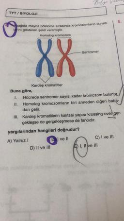 TYT/BİYOLOJİ
sağıda mayoz bölünme sırasında kromozomların durum-
larını gösteren şekil verilmiştir.
Homolog kromozom
XX
Kardeş kromatitler
Belge
yargılarından hangileri doğrudur?
A) Yalnız I
BI ve II
Sentromer
Buna göre,
II.
1. Hücrede sentromer sayısı kadar kromozom bulunur.
Homolog kromozomların biri anneden diğeri baba-
dan gelir.
D) II ve III
III. Kardeş kromatitlerin kalıtsal yapısı krossing-over ger-
çekleşse de gerçekleşmese de farklıdır.
5.
C) I ve III
E) I, II ve III