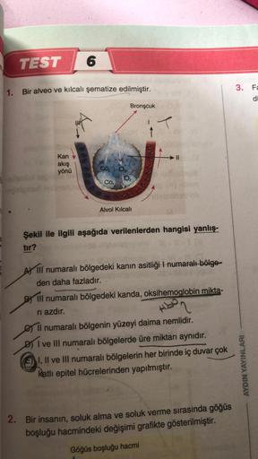 TEST
6
1. Bir alveo ve kılcalı şematize edilmiştir.
Kan
akış
yönü
CO₂
CO₂
Bronşcuk
10₂
Alvol Kılcali
↑
Şekil ile ilgili aşağıda verilenlerden hangisi yanlış-
tır?
VI-ILO.
AY III numaralı bölgedeki kanın asitliği I numaralı bölge-
den daha fazladır.
B Ill n