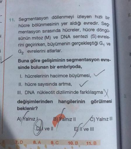 ir
1
i
11. Segmentasyon döllenmeyi izleyen hızlı bir
hücre bölünmesinin yer aldığı evredir. Seg-
mentasyon sırasında hücreler, hücre döngü-
sünün mitoz (M) ve DNA sentezi (S) evrele-
rini geçirirken, büyümenin gerçekleştiği G₁ ve
G₂ evrelerini atlarlar.
Bu