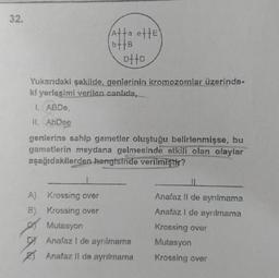 32.
(atta otte)
bff B
D++D
Yukarıdaki şekilde, genlerinin kromozomlar üzerinde-
ki yerleşimi verilen canlıda,
1. ABDe,
II. AbDee
genlerine sahip gametler oluştuğu belirlenmişse, bu
gametlerin meydana gelmesinde etkili olan olaylar
aşağıdakilerden hangisinde verilmiştir?
A)
Krossing over
B) Krossing over
Mutasyon
DX Anafaz I de ayrılmama
Anafaz II de ayrılmama
Anafaz II de ayrılmama
Anafaz I de ayrılmama
Krossing over
Mutasyon
Krossing over