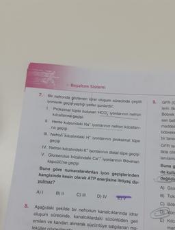 7.
>Boşaltım Sistemi
Bir nefronda gözlenen idrar oluşum sürecinde çeşitli
iyonların geçiş yaptığı yerler şunlardır;
1. Proksimal tüpte bulunan HCO3 iyonlarının nefron
kılcallarına geçişi
II. Henle kulpundaki Nat iyonlarının nefron kılcalları-
na geçişi
III. Nefron kılcalındaki H+ iyonlarının proksimal tüpe
geçişi
IV. Nefron kılcalındaki K+ iyonlarının distal tüpe geçişi
V. Glomerulus kılcalındaki Cat iyonlarının Bowman
kapsülü'ne geçişi
Buna göre numaralandırılan iyon geçişlerinden
hangisinde kesin olarak ATP enerjisine ihtiyaç du-
yulmaz?
A) I
B) II
C) III D) IV
8. Aşağıdaki şekilde bir nefronun kanalcıklarında idrar
oluşum sürecinde, kanalcıklardaki süzüntüden geri
emilen ve kandan alınarak süzüntüye salgılanan mo-
leküller gösterilminti
9.
GFR (G
lerin Bc
Böbrek
sarı beli
maddel
böbrekle
bir tanes
GFR tes
likte olm
lanılama
Buna
de kulla
değildin
A) Glor
B) Tok:
C) Böb
D) Vüc
E) Kilca
man