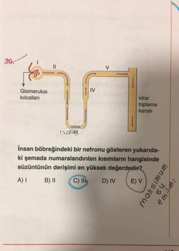 30.
Glomerulus
kılcalları
||
(200|||
B) II
IV
V
idrar
toplama
kanalı
İnsan böbreğindeki bir nefronu gösteren yukarıda-
ki şemada numaralandırılan kısımların hangisinde
süzüntünün derişimi en yüksek değerdedir?
A) I
C) Ill D) IV
E) V
Ho
54,
emilimi