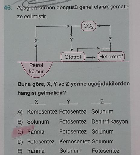 46. Aşağıda karbon döngüsü genel olarak şemati-
ze edilmiştir.
X
Petrol
kömür
Ototrof
CO₂+
Z
Heterotrof
Buna göre, X, Y ve Z yerine aşağıdakilerden
hangisi gelmelidir?
X
Z
A) Kemosentez Fotosentez Solunum
B) Solunum
C) Yanma
D) Fotosentez
E) Yanma
Fotosent