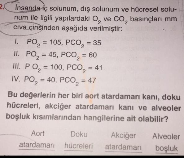 insanda iç solunum, dış solunum ve hücresel solu-
num ile ilgili yapılardaki O₂ ve CO₂ basınçları mm
civa cinsinden aşağıda verilmiştir:
2
2
I. PO₂ = 105, PCO₂ = 35
2
2
PO₂ = 45, PCO₂ = 60
II.
III. PO₂ = 100, PCO₂ = 41
2
2
IV. PO₂ = 40, PCO₂ = 47
2
Bu değe