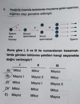 4.
Aşağıda insanda testislerde meydana gelen sperma-
togenez olayı şematize edilmiştir.
Sperm
ana
hücresi
Birincil
spermatosit İkincil
spermatosit
Buna göre I, II ve III ile numaralanan basamak-
larda görülen bölünme şekilleri hangi seçenekte
doğru verilmiştir?
1
A) Mitoz
B) Mayoz I
C)
Mitoz
D) Mitoz
E) Mayoz
11
Mitoz
Mayoz II
Mayoz I
Mitoz
Mitoz
Mayoz
Mitoz
Sperm
Mayoz II
Mitoz
Mayoz